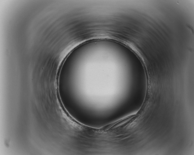 X0000103310951200809051542