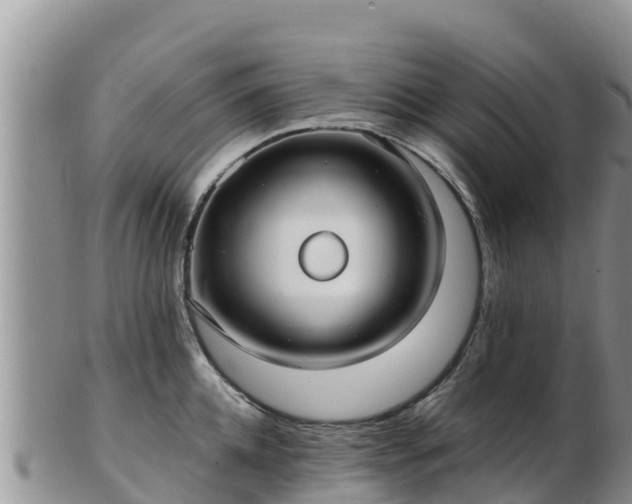 X0000103310952200809051542