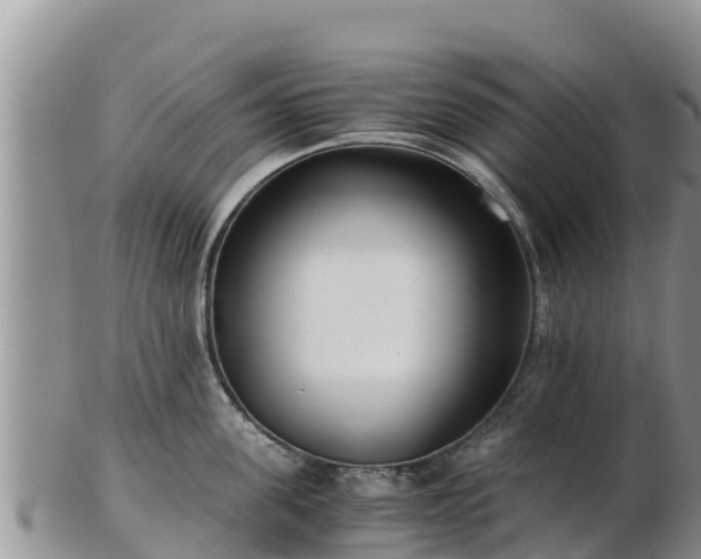 X0000103310955200809051542