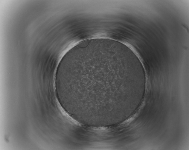 X0000103310957200809051542