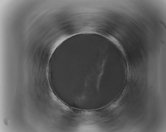 X0000103310958200809051542