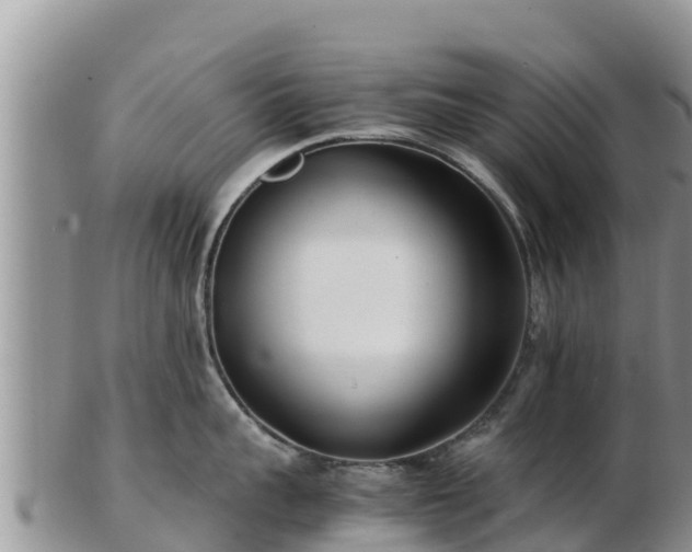 X0000103310959200809051542