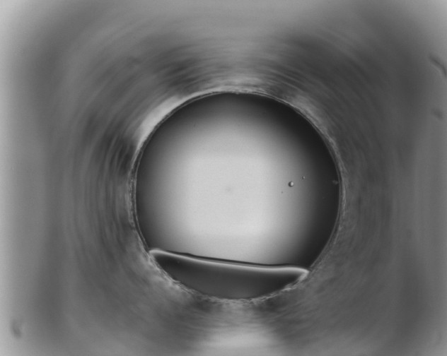 X0000103310960200809051542