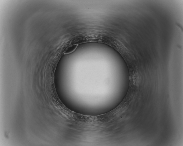 X0000103310961200809051541