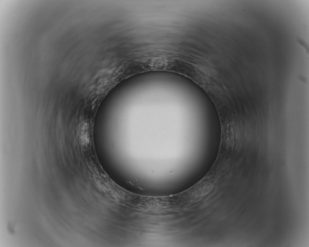 X0000103310962200809051541