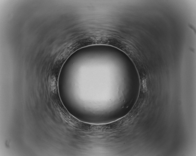 X0000103310963200809051541