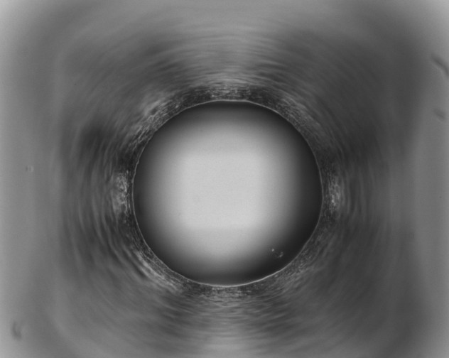 X0000103310964200809051541