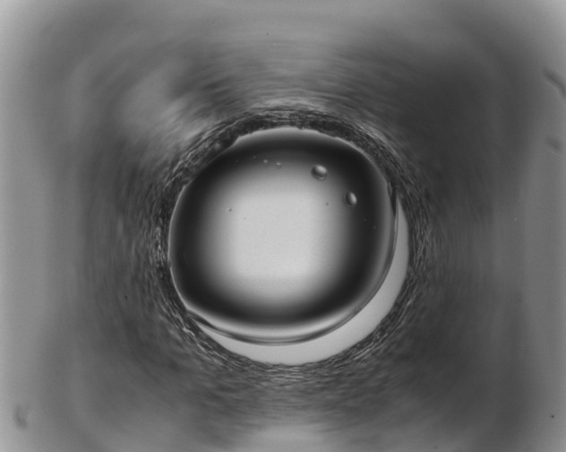 X0000103310965200809051541