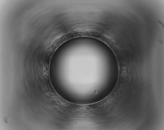 X0000103310966200809051541