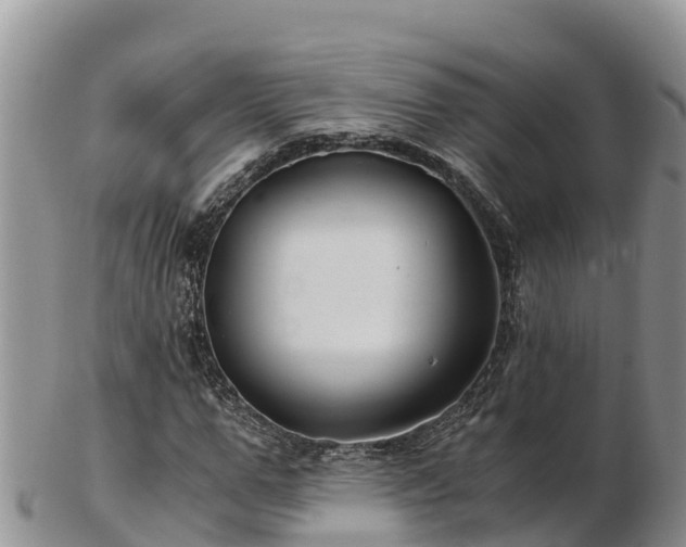 X0000103310967200809051541