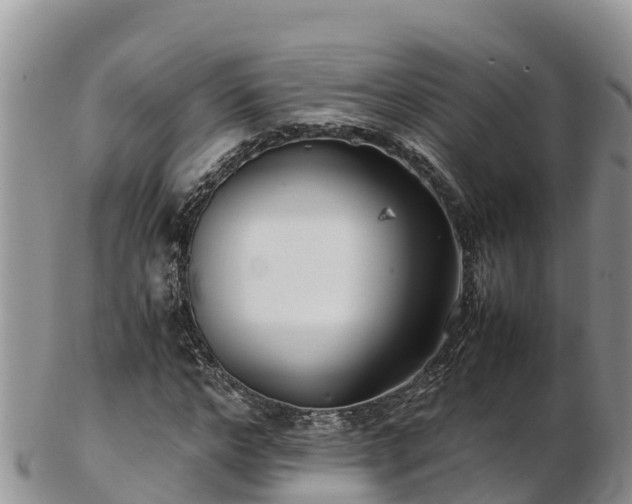 X0000103310968200809051541