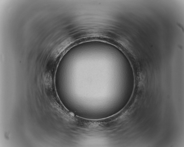 X0000103310969200809051541