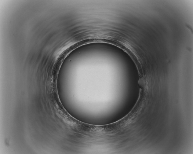 X0000103310971200809051541