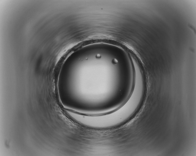 X0000103310973200809051541
