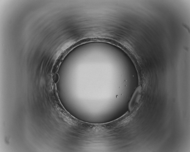 X0000103310974200809051541