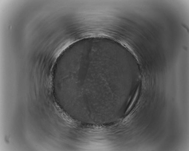 X0000103310975200809051541