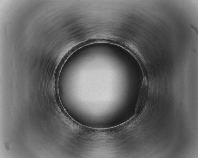 X0000103310976200809051541