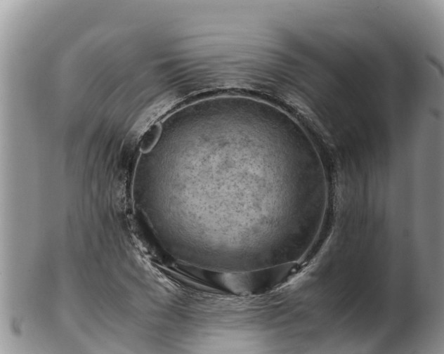 X0000103310977200809051541