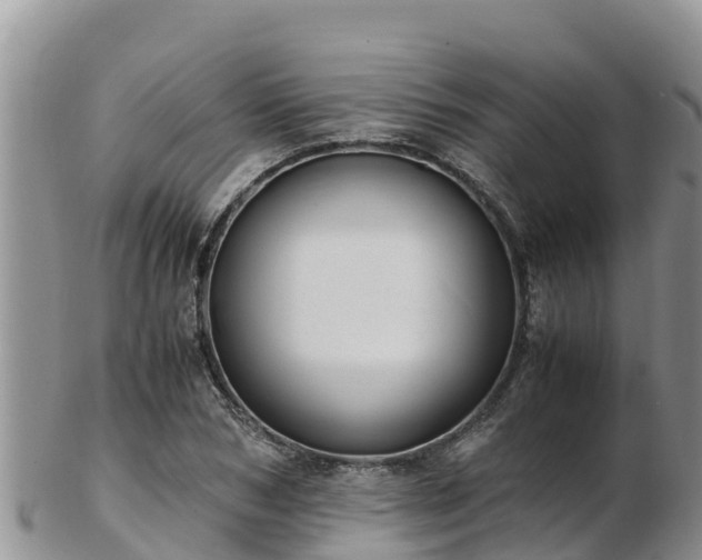 X0000103310978200809051541