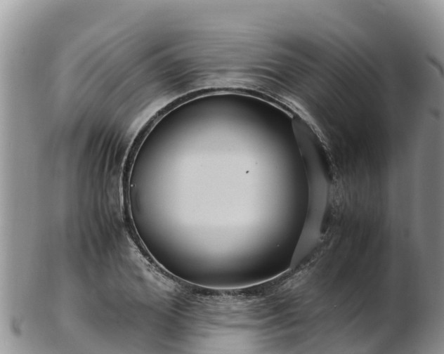 X0000103310980200809051541
