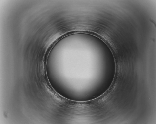 X0000103310982200809051541