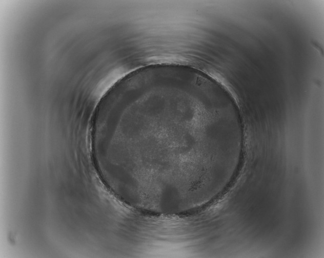 X0000103310983200809051541