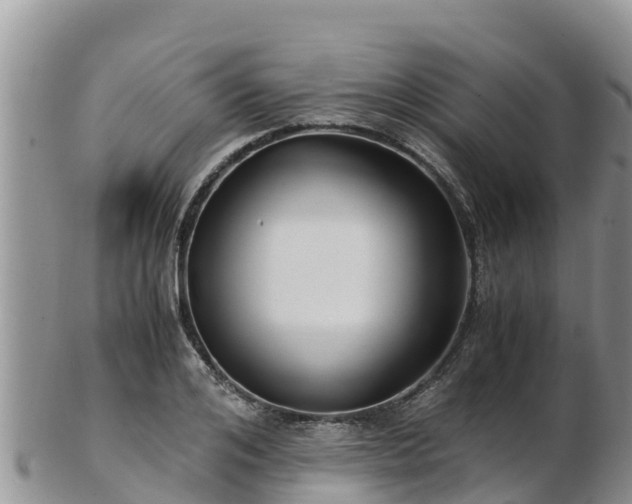 X0000103310984200809051541