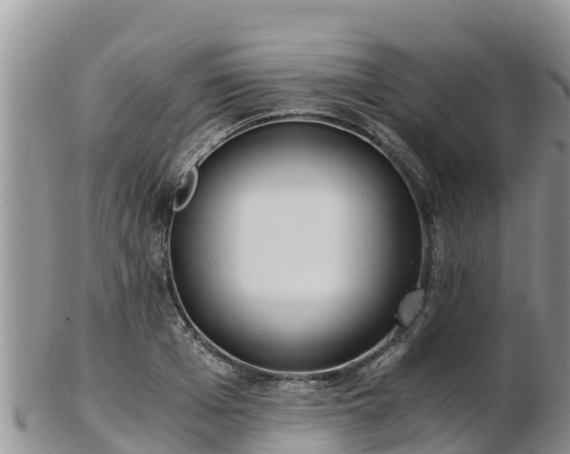 X0000103310985200809051541