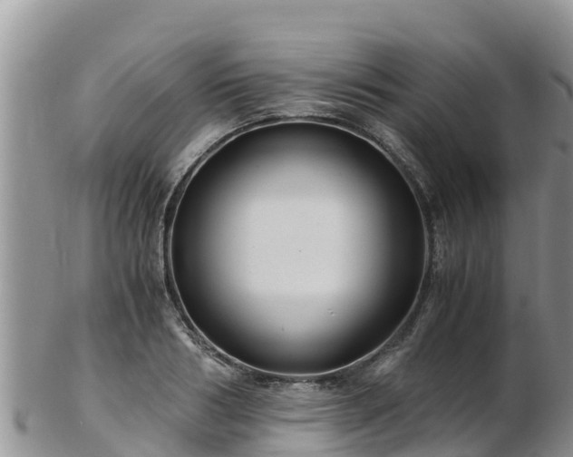 X0000103310986200809051541