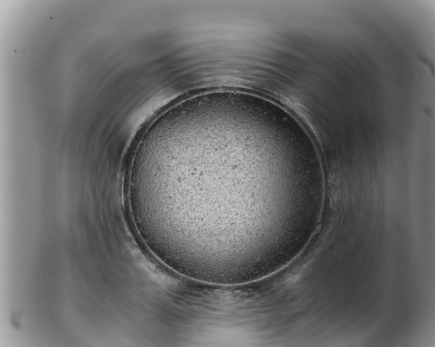 X0000103310987200809051541