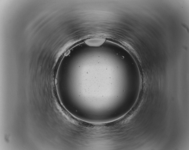 X0000103310989200809051541