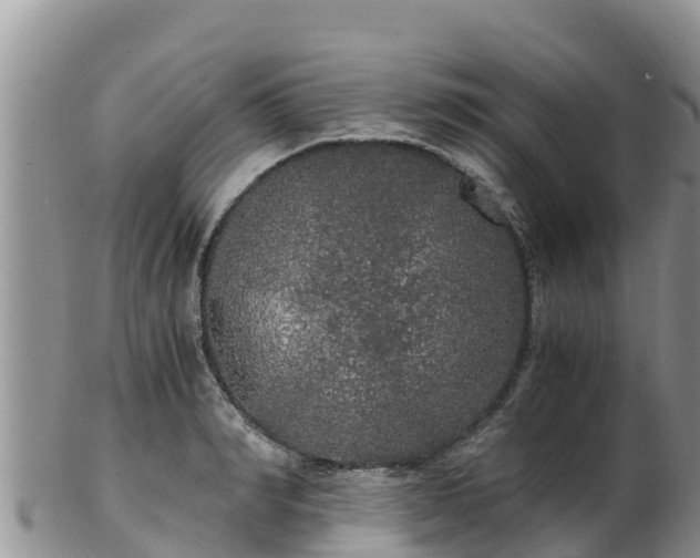 X0000103310990200809051541