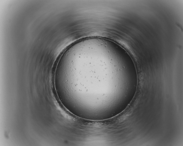 X0000103310991200809051541