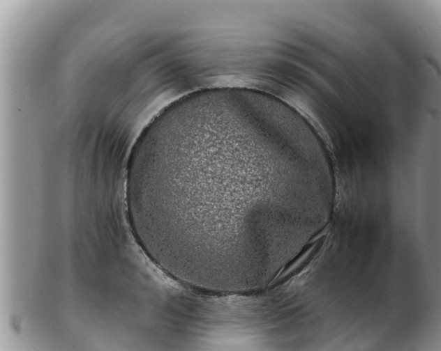 X0000103310992200809051541