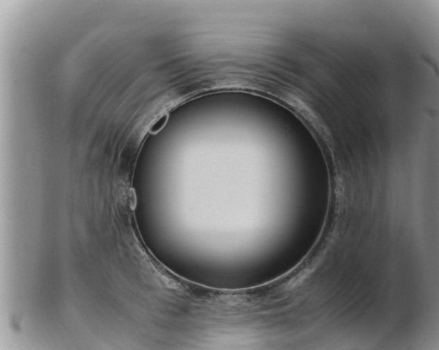 X0000103310993200809051541