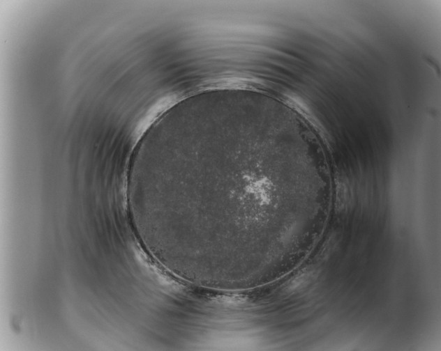 X0000103310994200809051541