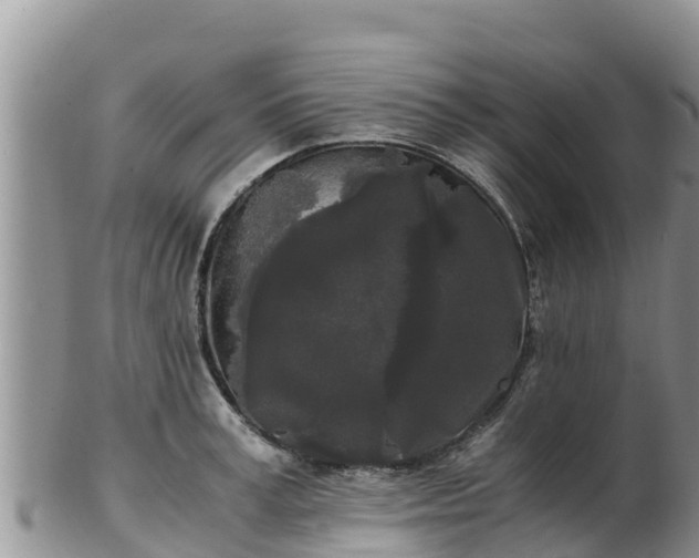 X0000103310995200809051541