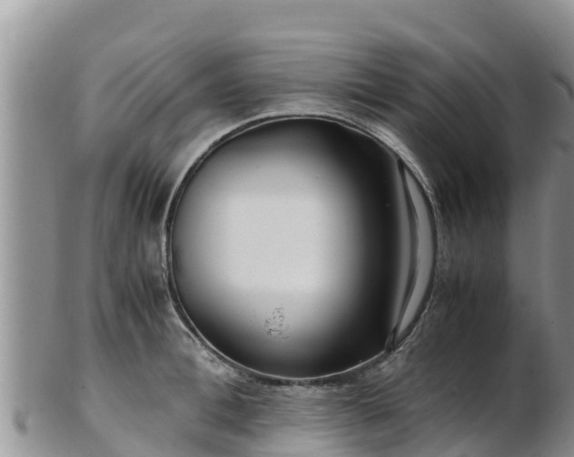 X0000103310996200809051540