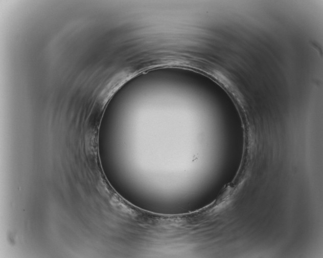 X0000103311001200809051540