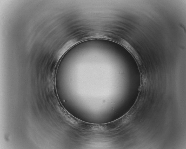 X0000103311002200809051540