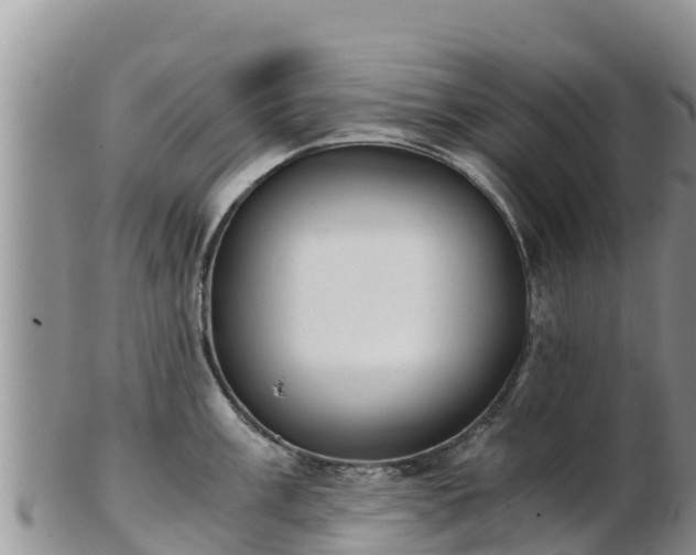 X0000103311003200809051540