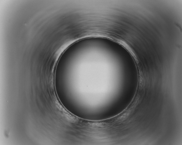 X0000103311004200809051540