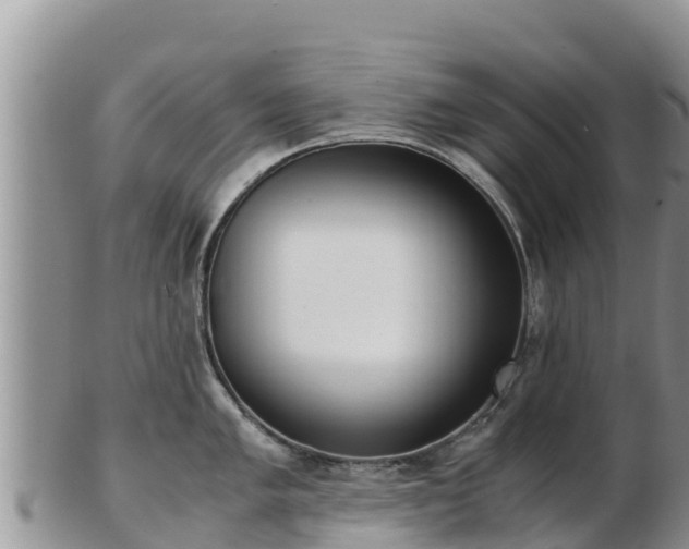 X0000103311005200809051540