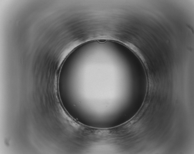 X0000103311006200809051540