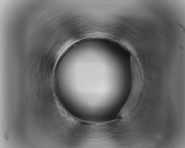 X0000103311008200809051540