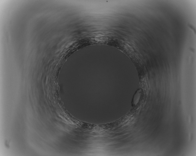 X0000103311009200809051540