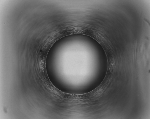X0000103311010200809051540