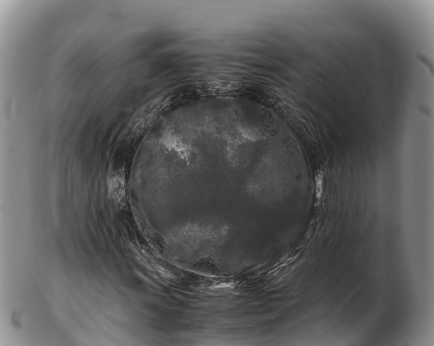 X0000103311011200809051540