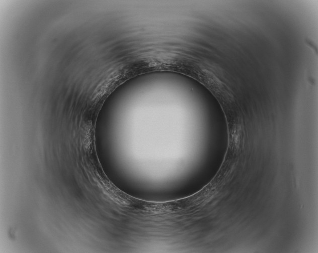 X0000103311012200809051540