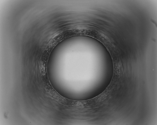 X0000103311013200809051540